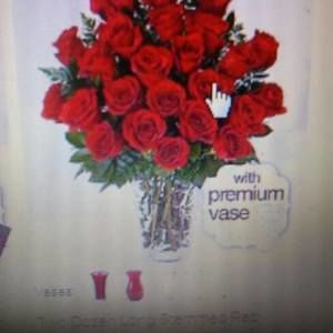 Meet your Posher, Philip